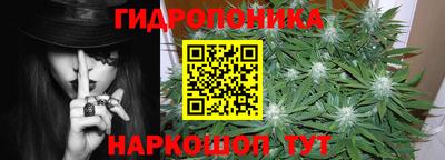 стаф Бузулук