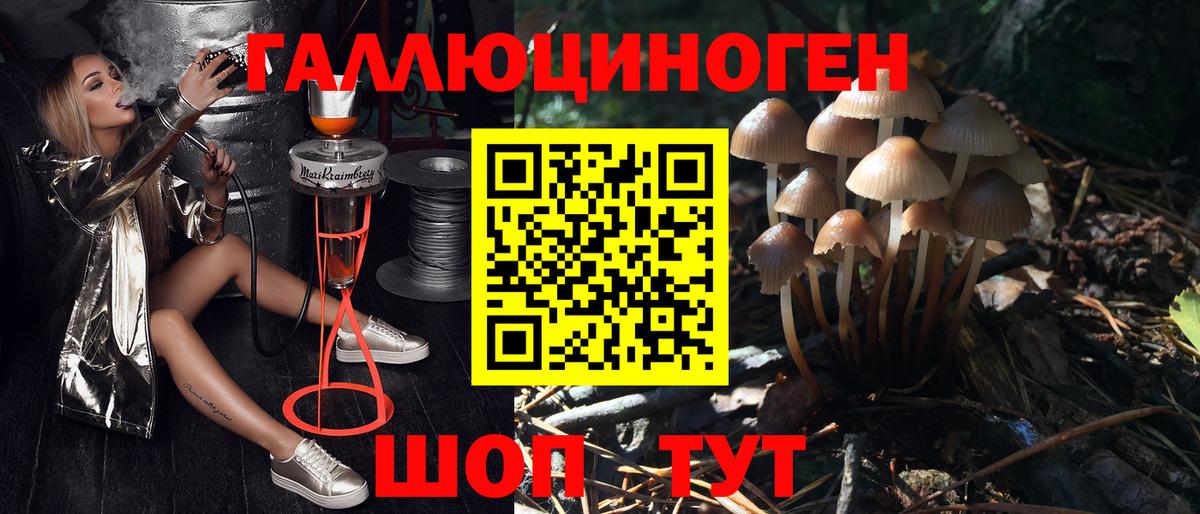 Псилоцибиновые грибы Psilocybe  Вход с VPN  Прохладный 
